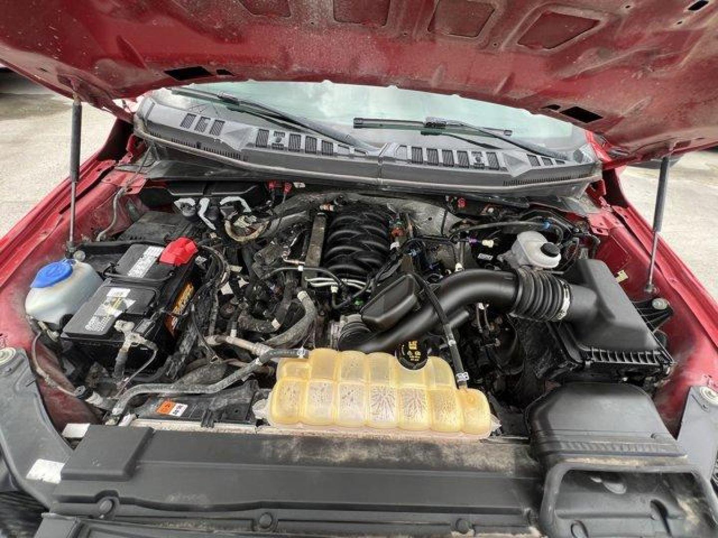 2019 Red Ford F-150 (1FTEW1E5XKK) with an 8 5.0 L engine, Automatic transmission, located at 27610 S Dixie Hwy, Homestead, FL, 33032, (305) 749-2348, 25.510241, -80.438301 - This Ford F-150 delivers a Regular Unleaded V8 5.0 L engine powering this Automatic transmission. ENGINE: 5.0L V8 -inc: auto start-stop technology and flex-fuel capability, (STD), Transmission w/SelectShift Sequential Shift Control, Towing Equipment -inc: Trailer Sway Control.*This Ford F-150 Comes - Photo#16