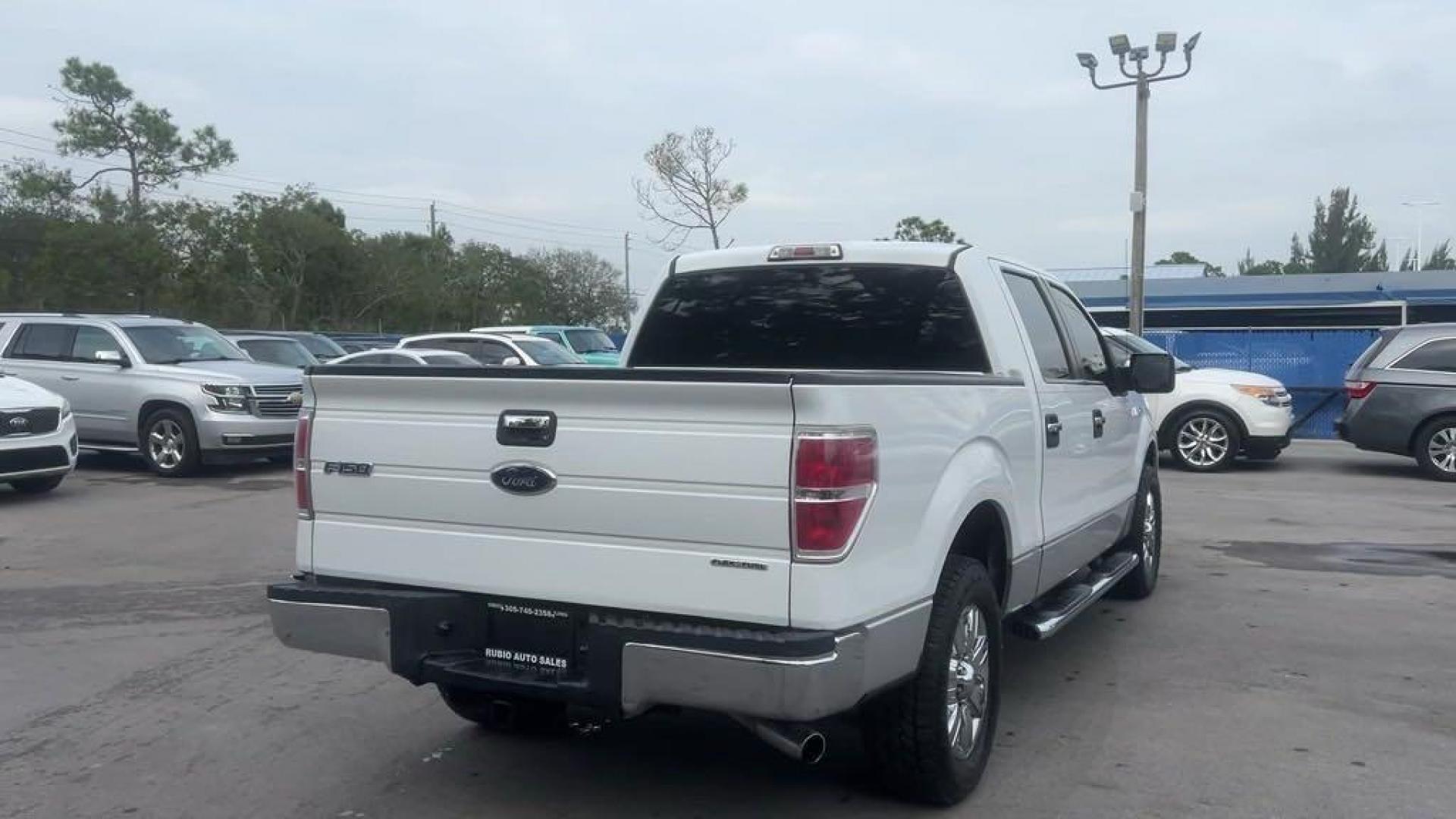 2011 White /Steel Gray Ford F-150 XLT (1FTFW1CF8BF) with an 5.0L V8 FFV engine, Automatic transmission, located at 27610 S Dixie Hwy, Homestead, FL, 33032, (305) 749-2348, 25.510241, -80.438301 - Photo#4